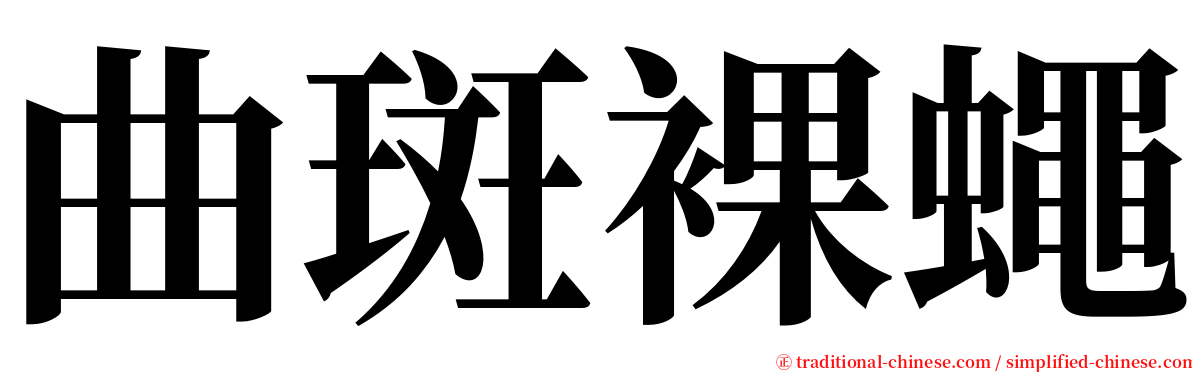 曲斑裸蠅 serif font