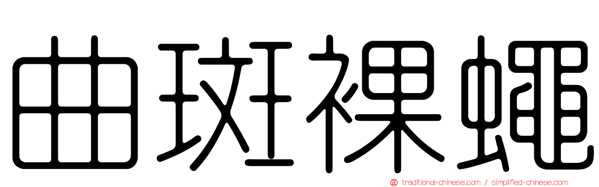 曲斑裸蠅