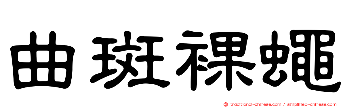 曲斑裸蠅