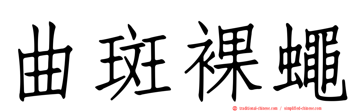 曲斑裸蠅