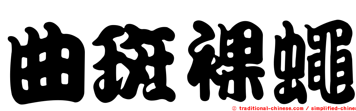 曲斑裸蠅