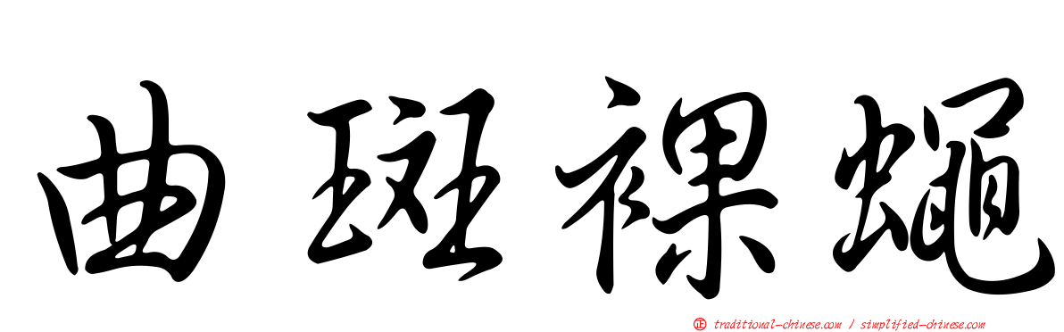 曲斑裸蠅
