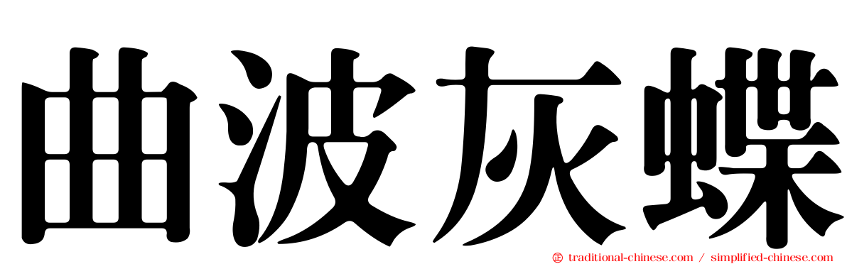 曲波灰蝶