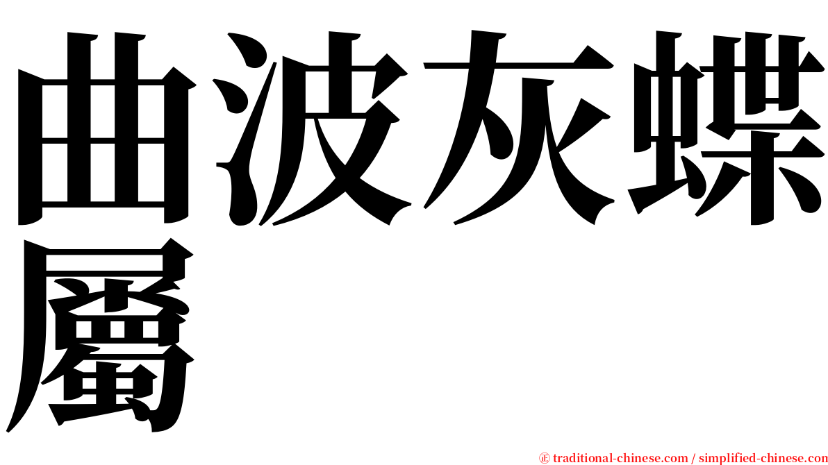 曲波灰蝶屬 serif font