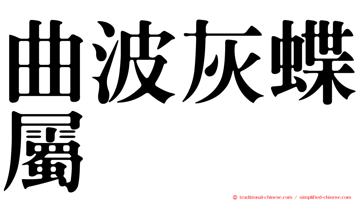曲波灰蝶屬