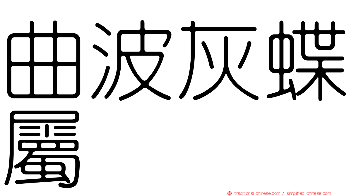 曲波灰蝶屬