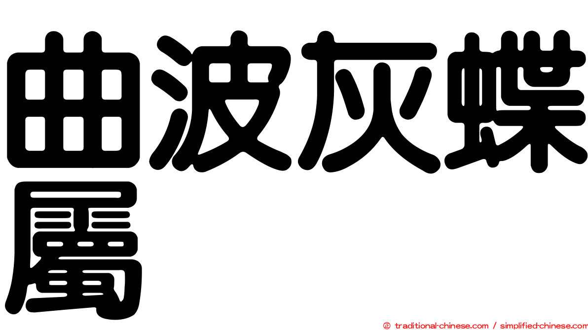 曲波灰蝶屬