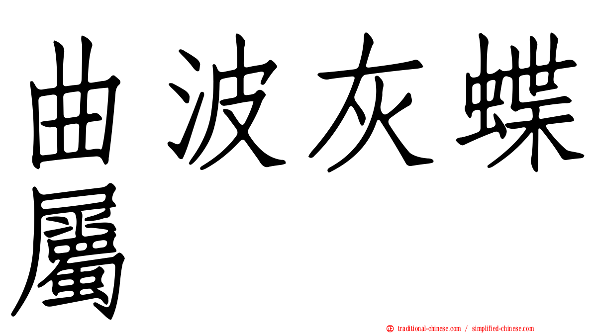 曲波灰蝶屬