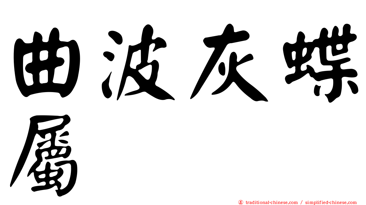 曲波灰蝶屬