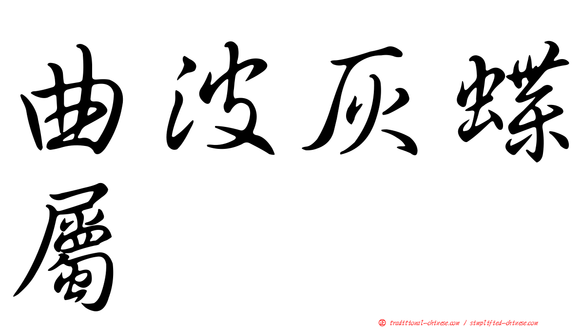 曲波灰蝶屬