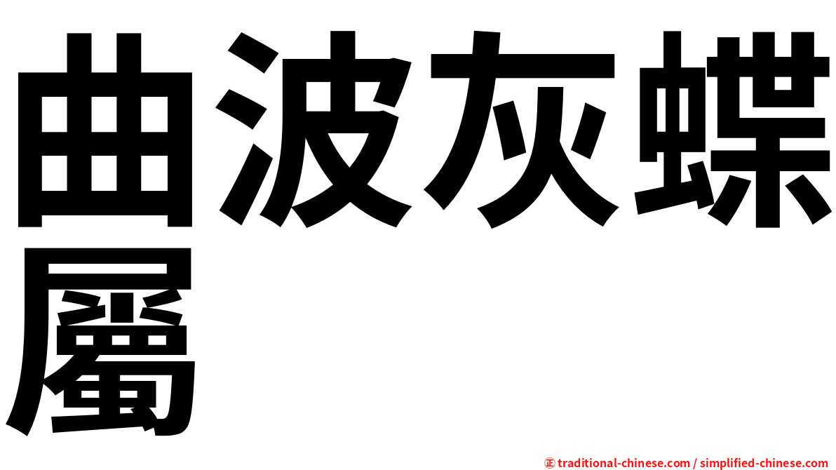 曲波灰蝶屬
