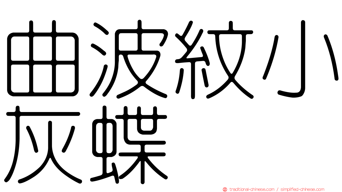 曲波紋小灰蝶
