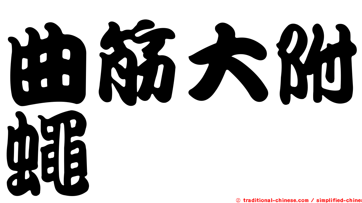 曲筋大附蠅