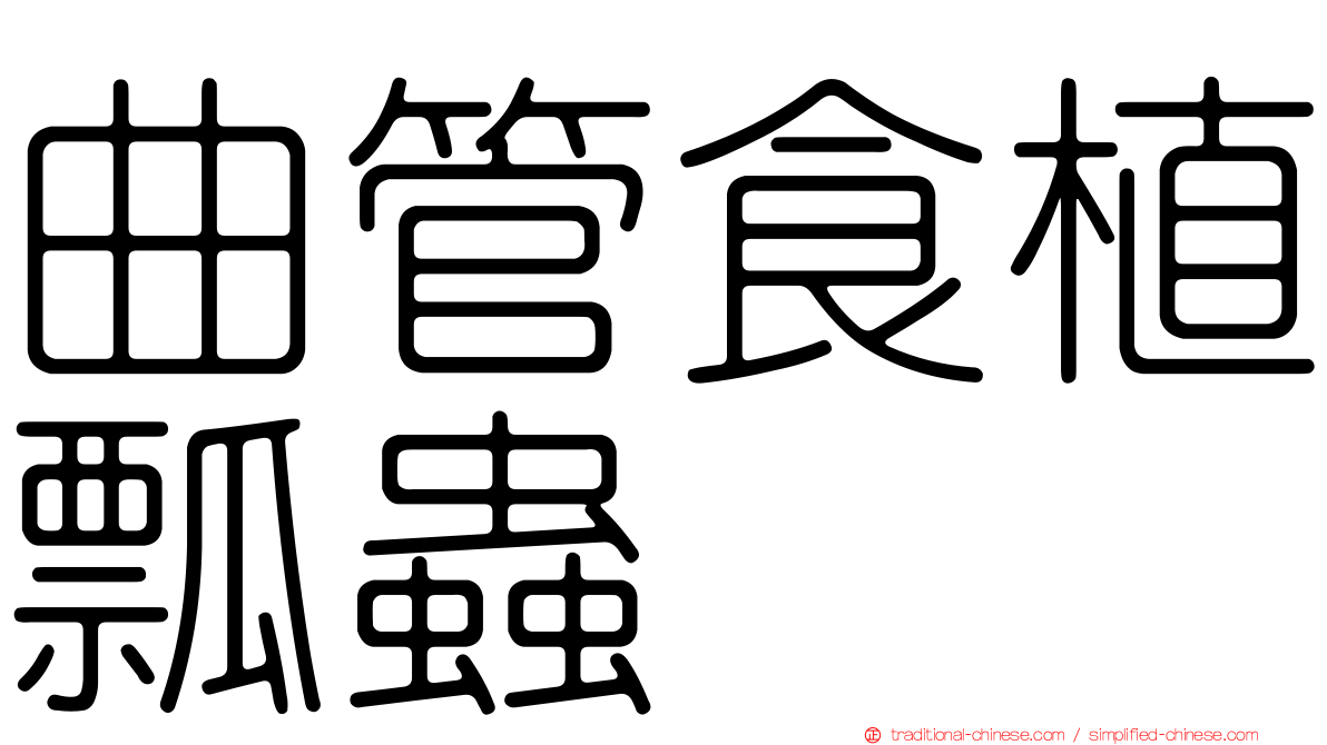 曲管食植瓢蟲