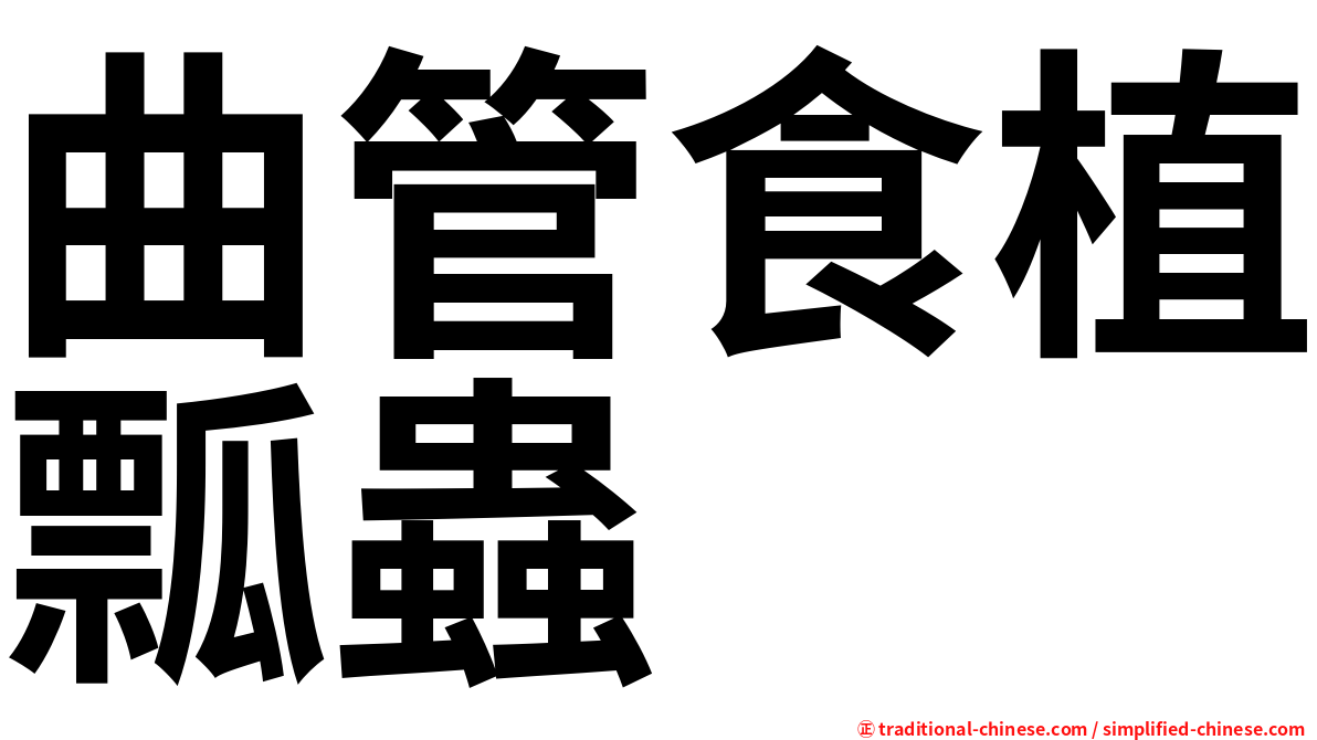 曲管食植瓢蟲