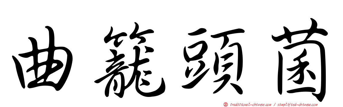 曲籠頭菌
