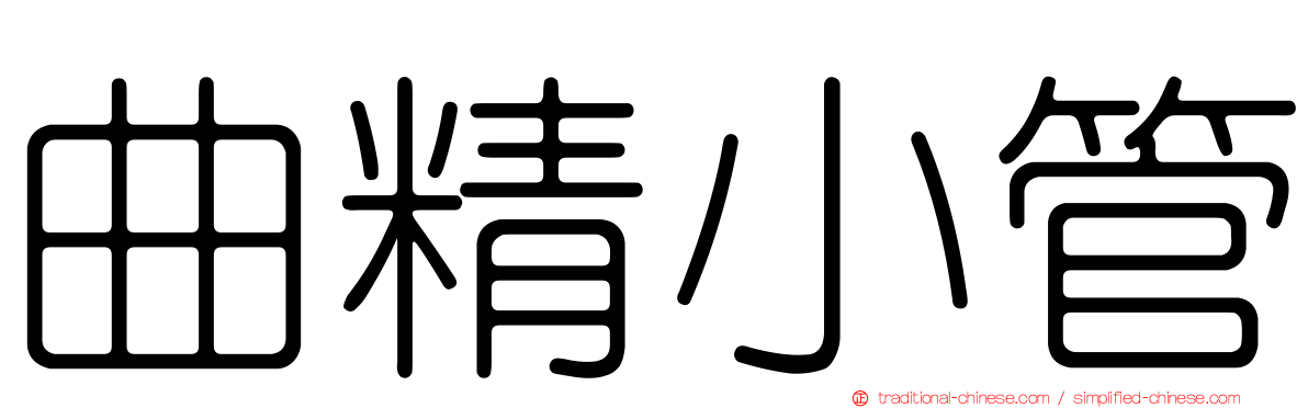 曲精小管