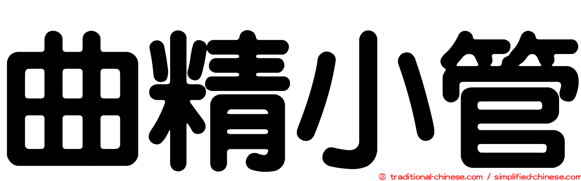 曲精小管