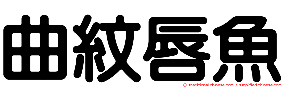 曲紋唇魚