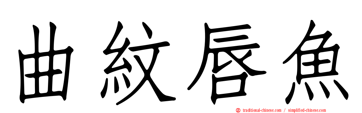 曲紋唇魚