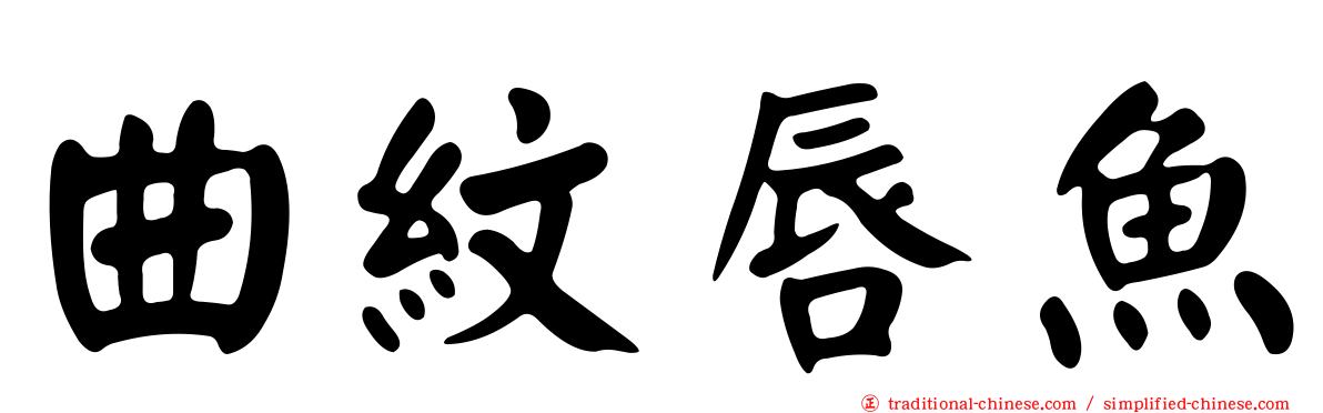 曲紋唇魚