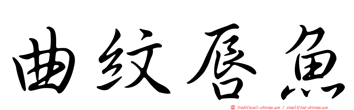 曲紋唇魚