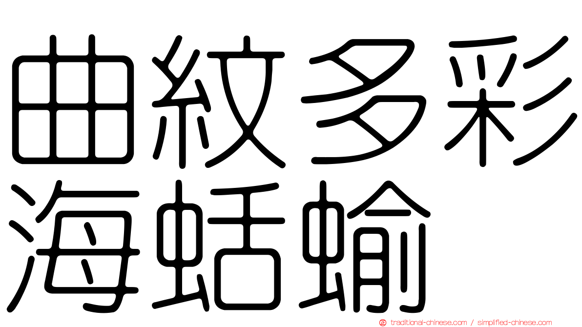 曲紋多彩海蛞蝓