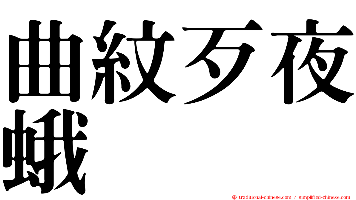 曲紋歹夜蛾