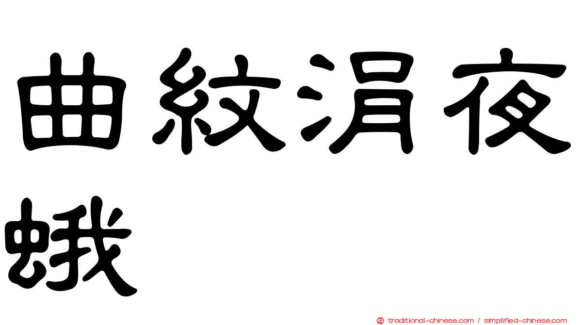 曲紋涓夜蛾
