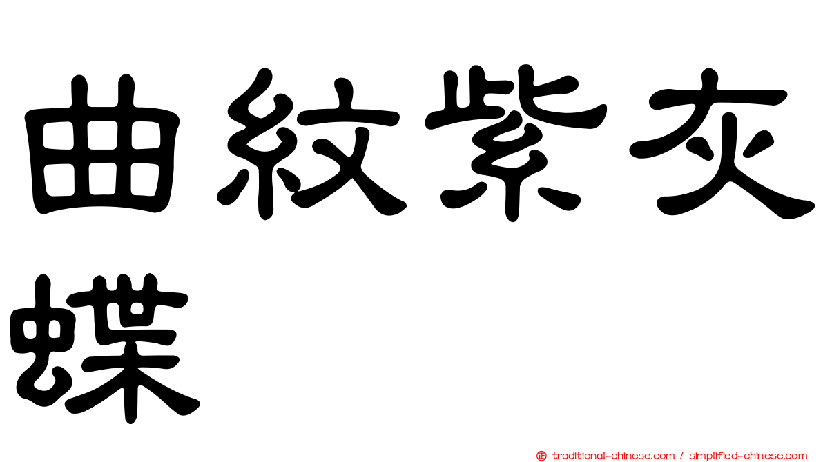 曲紋紫灰蝶