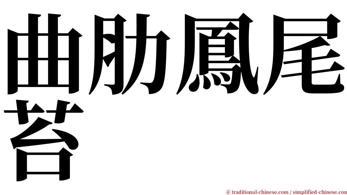 曲肋鳳尾苔 serif font