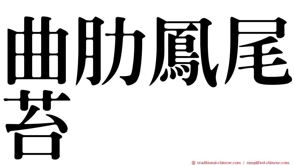 曲肋鳳尾苔