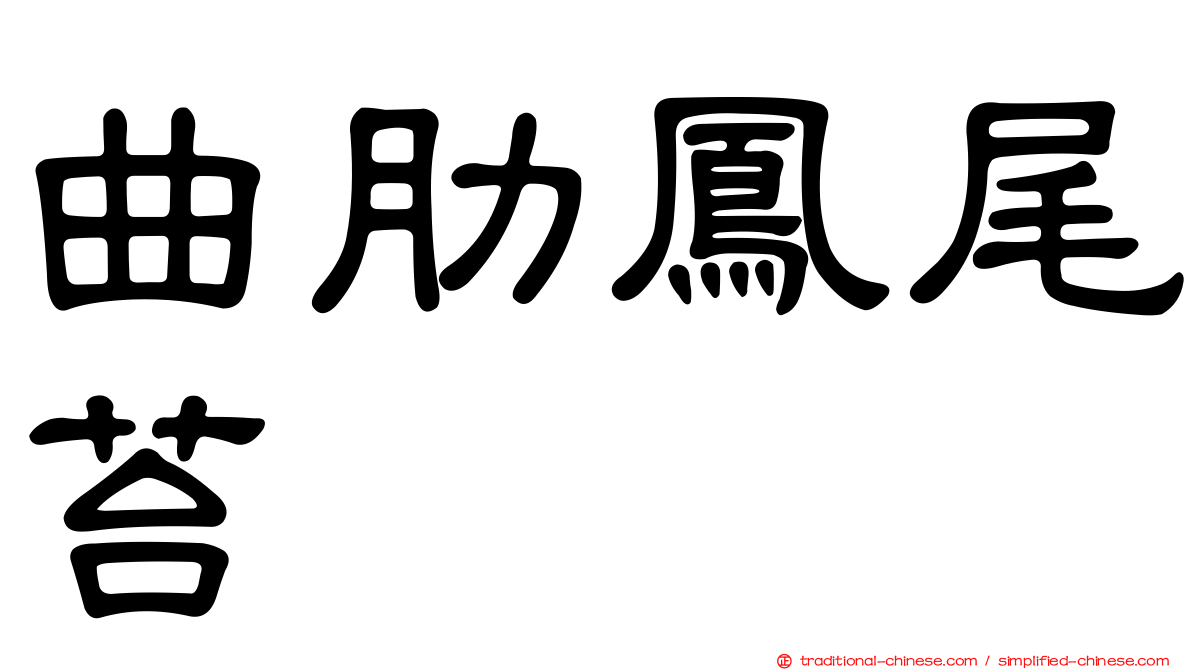 曲肋鳳尾苔