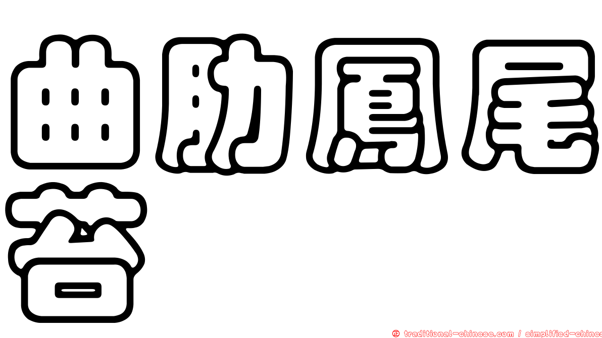 曲肋鳳尾苔