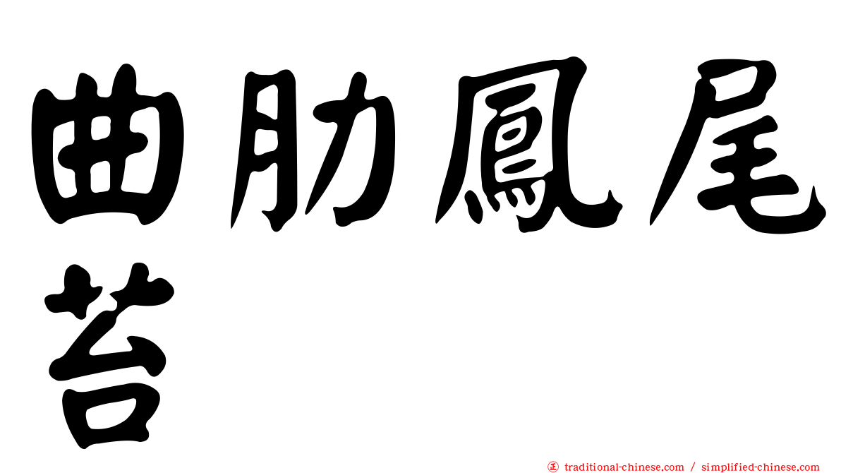 曲肋鳳尾苔