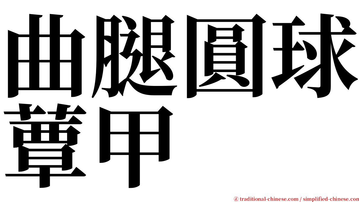 曲腿圓球蕈甲 serif font
