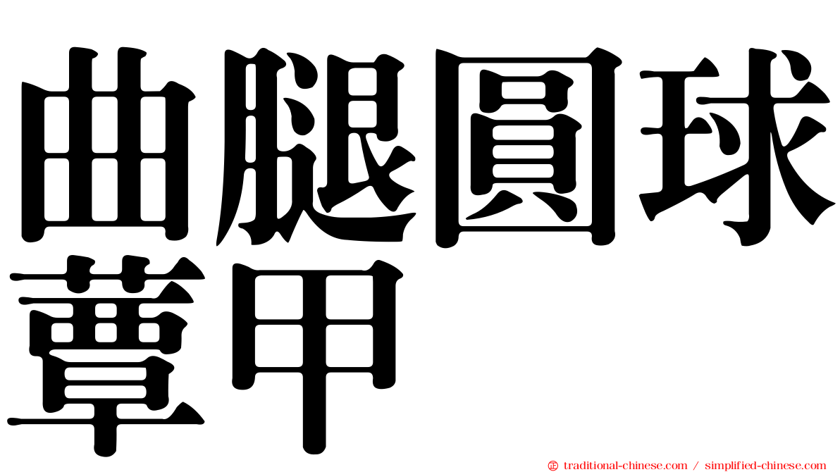 曲腿圓球蕈甲