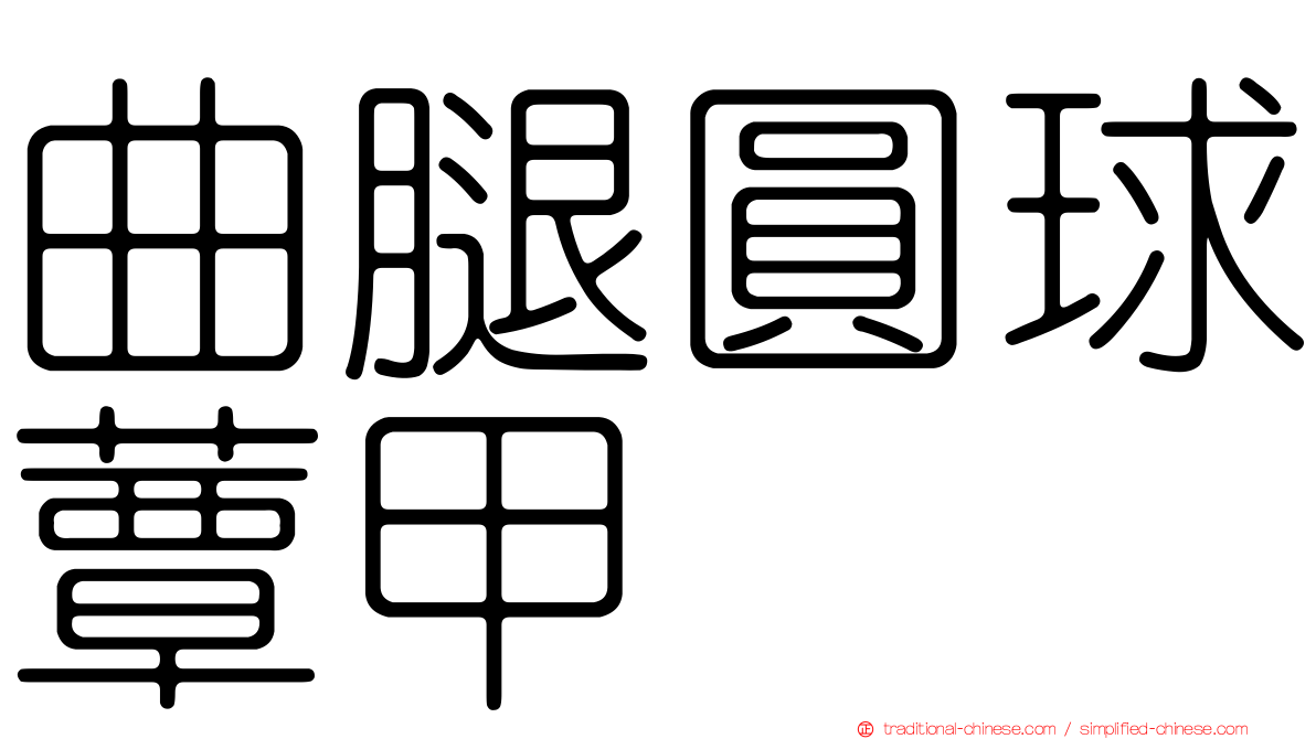 曲腿圓球蕈甲