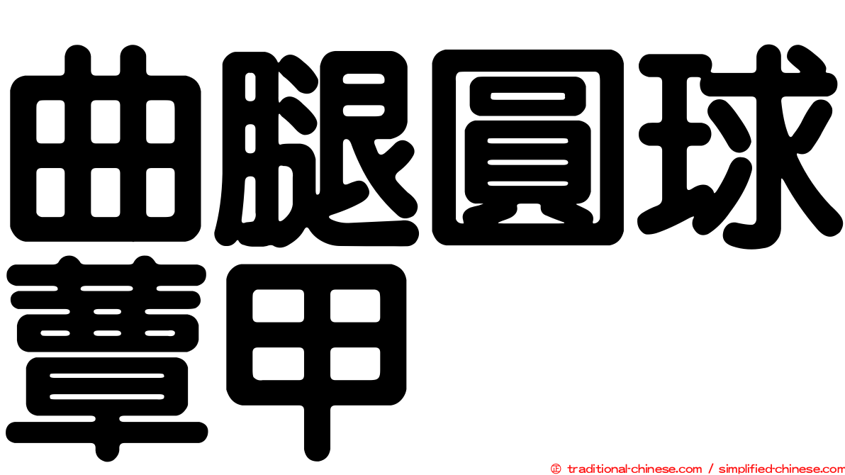 曲腿圓球蕈甲