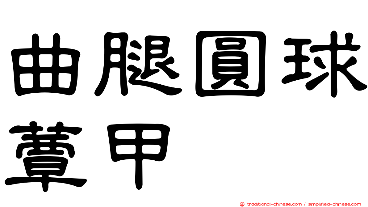 曲腿圓球蕈甲