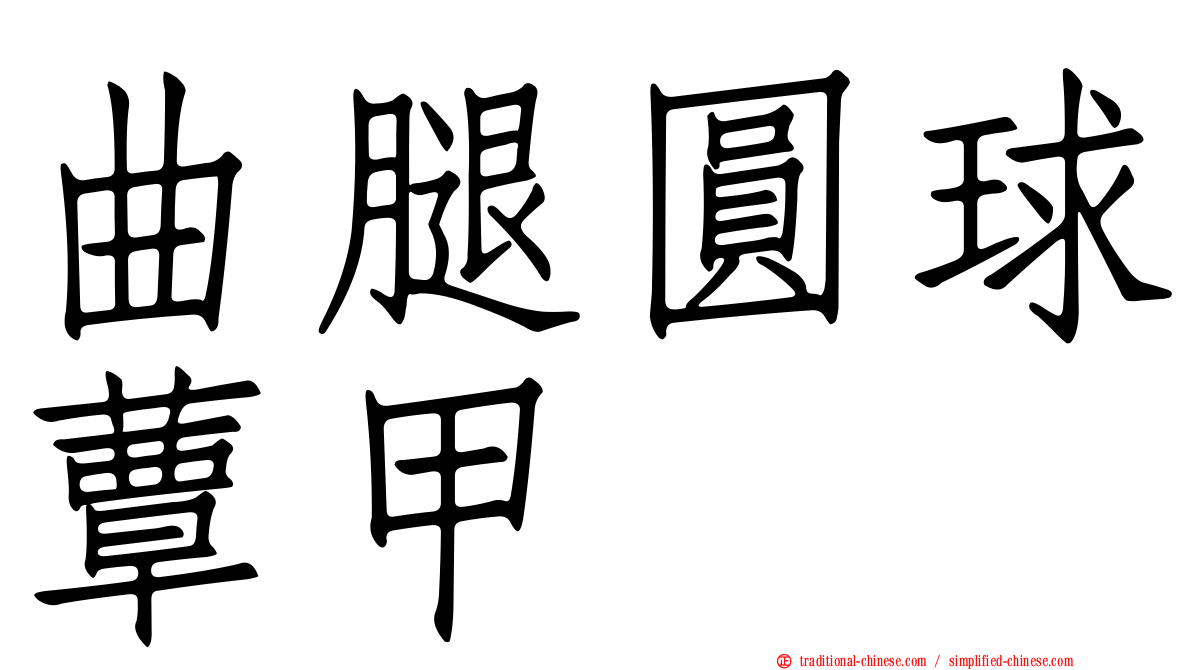 曲腿圓球蕈甲