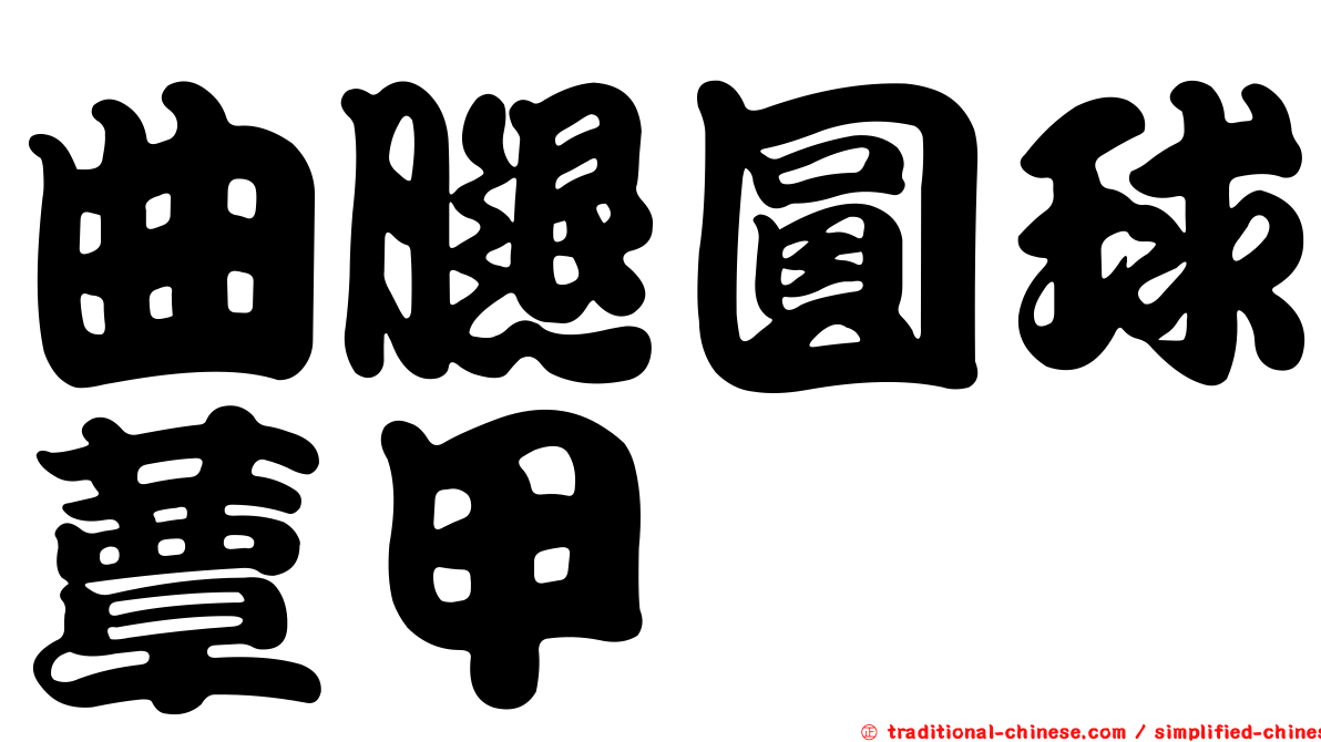曲腿圓球蕈甲