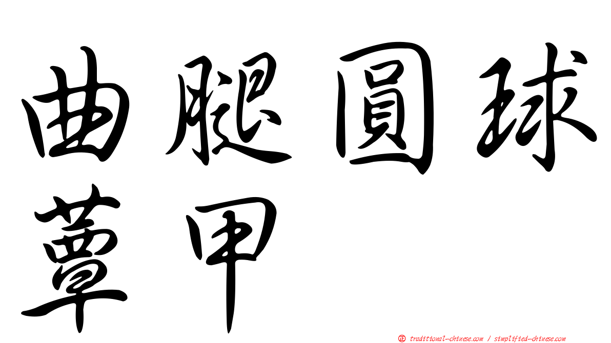 曲腿圓球蕈甲