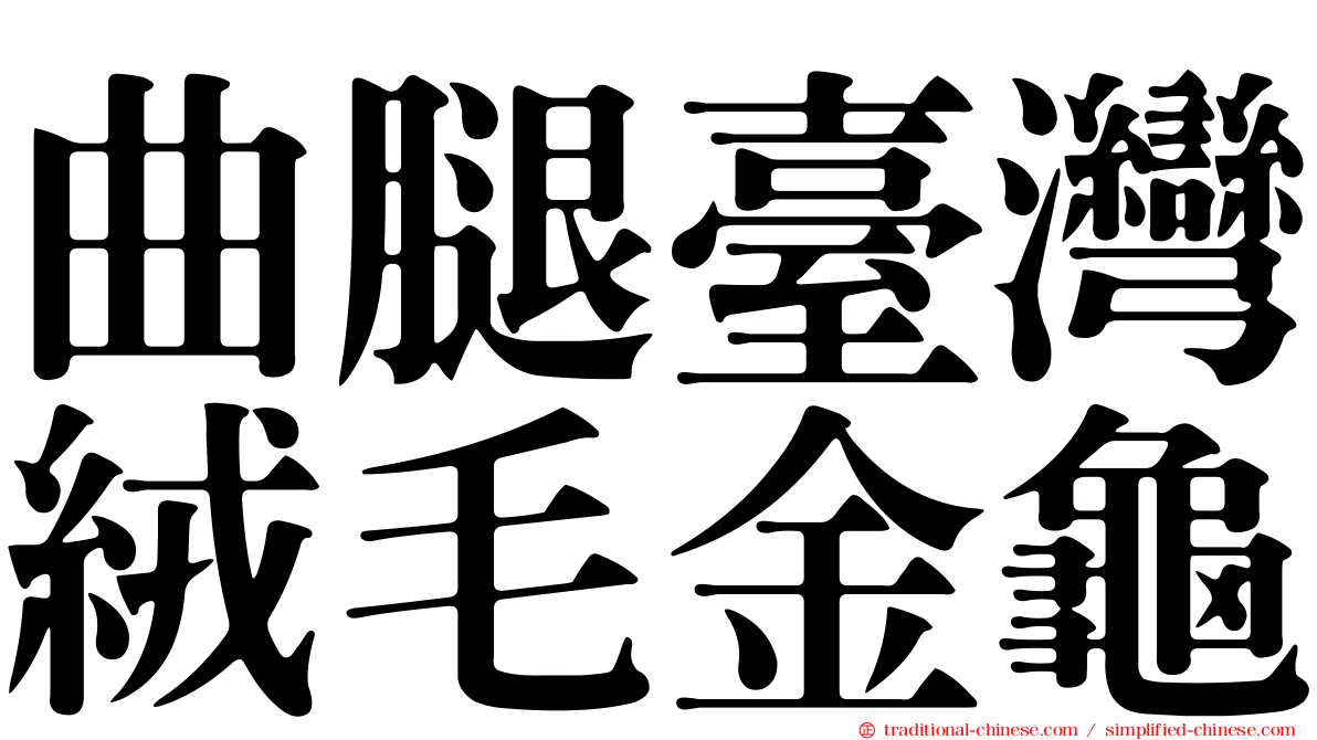 曲腿臺灣絨毛金龜