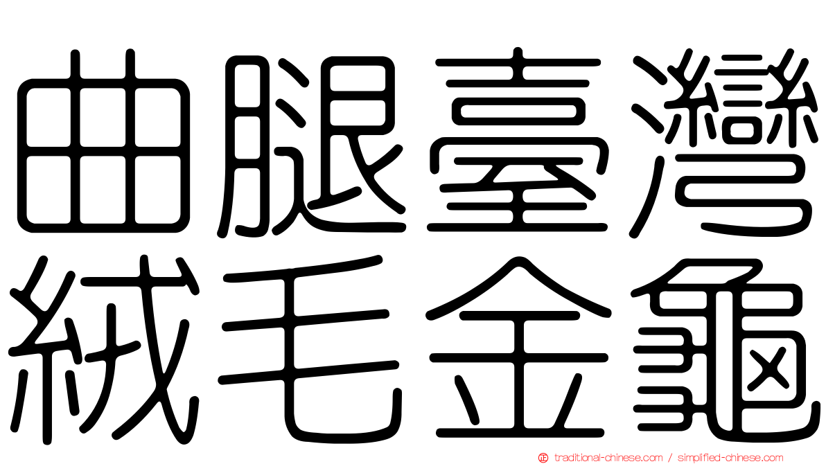 曲腿臺灣絨毛金龜