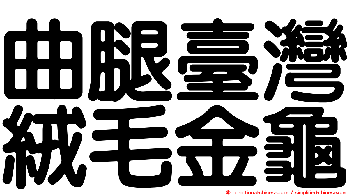 曲腿臺灣絨毛金龜