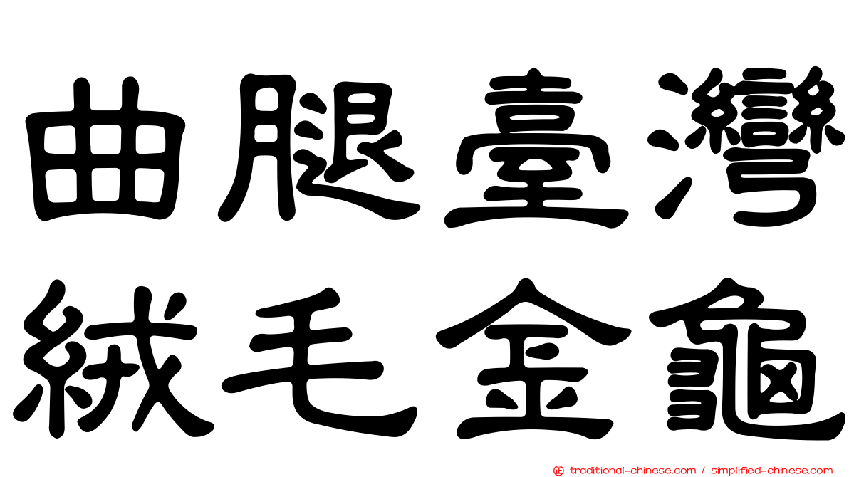 曲腿臺灣絨毛金龜