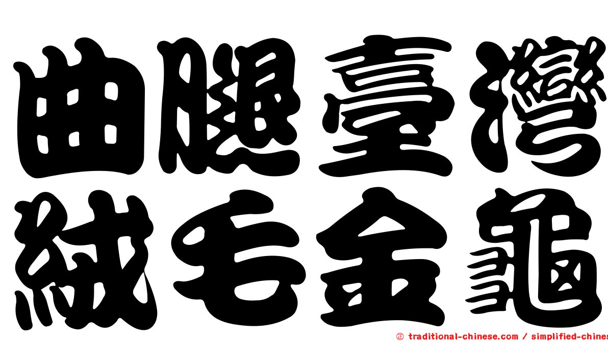曲腿臺灣絨毛金龜