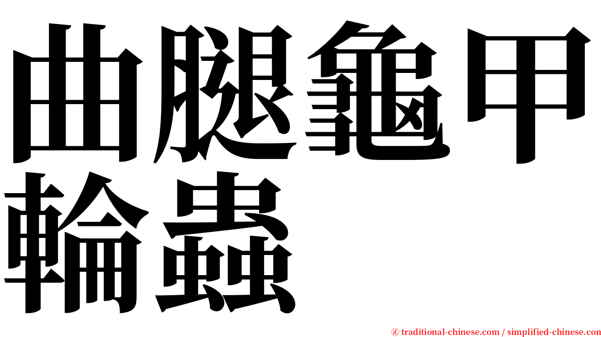 曲腿龜甲輪蟲 serif font