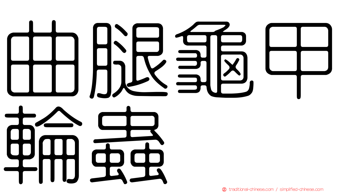 曲腿龜甲輪蟲
